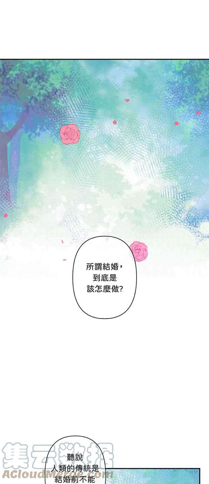 我的野蛮萌友37话