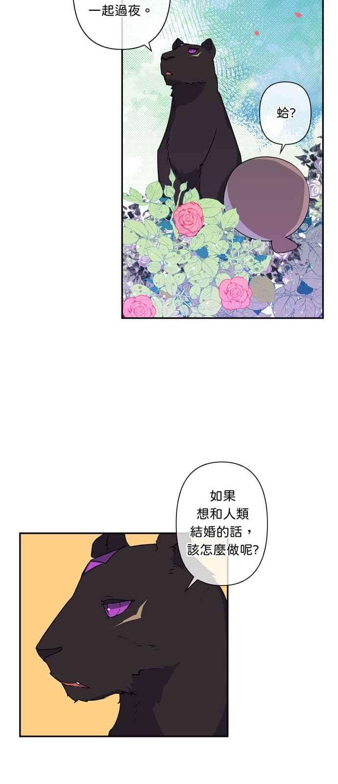 我的野蛮萌友37话