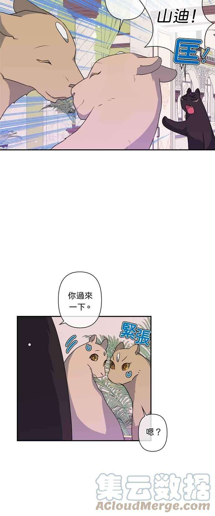 我的野蛮萌友37话