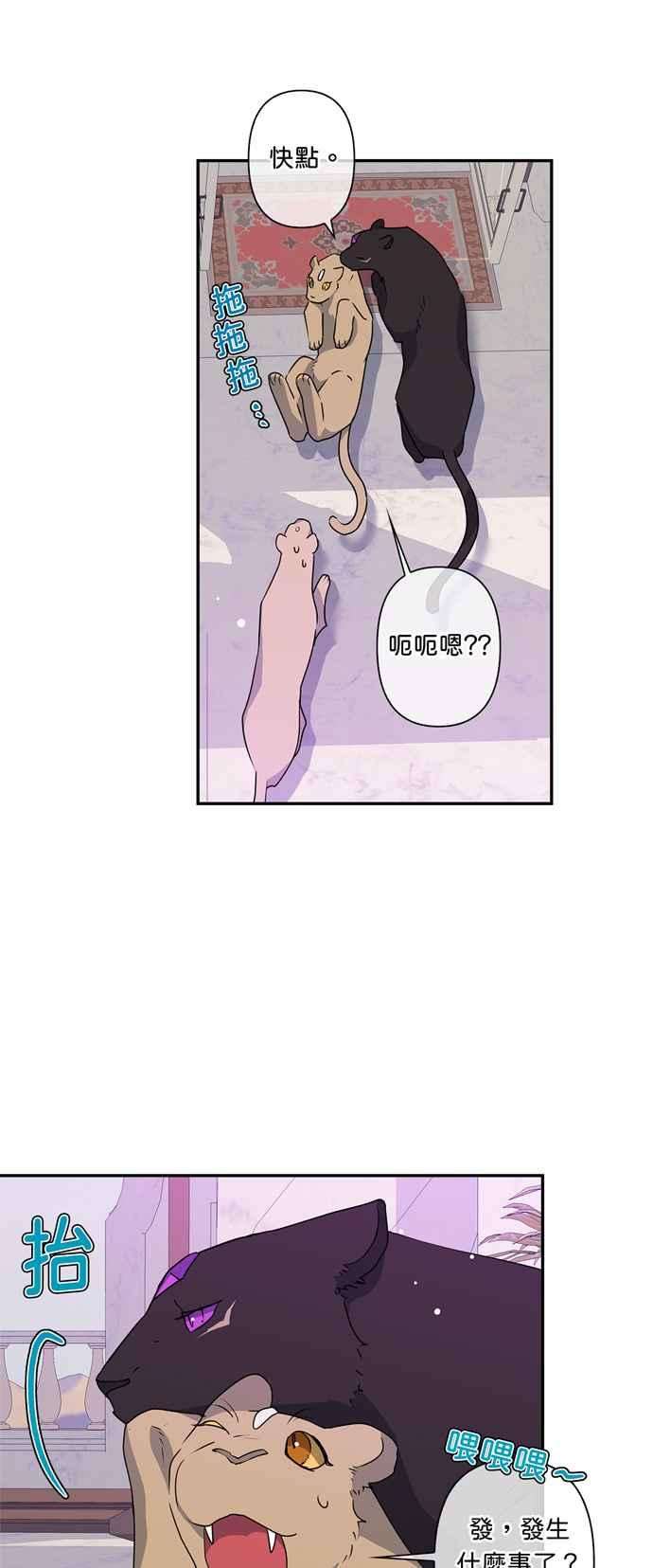 我的野蛮萌友37话