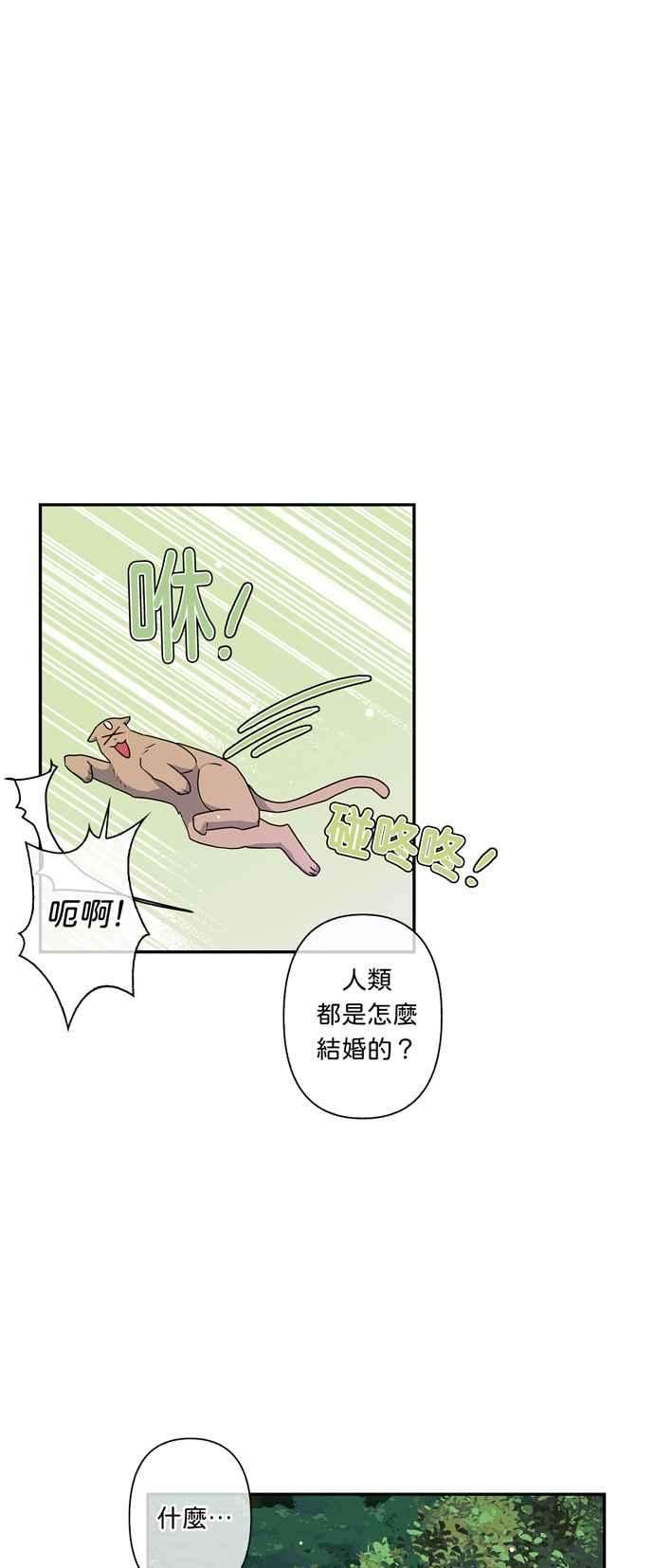 我的野蛮萌友37话