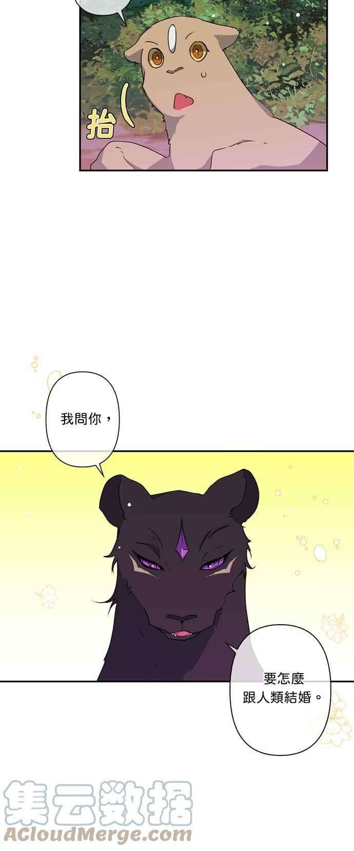 我的野蛮萌友37话