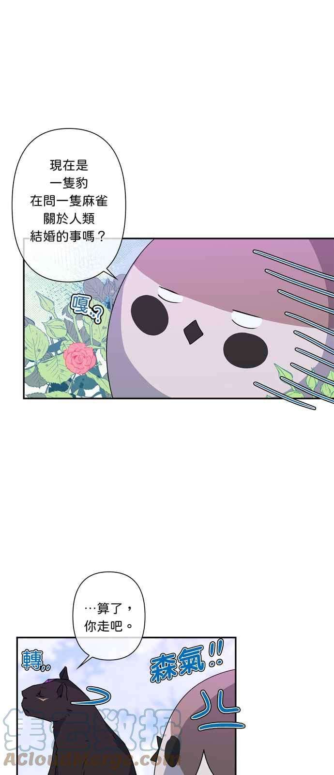 我的野蛮萌友37话