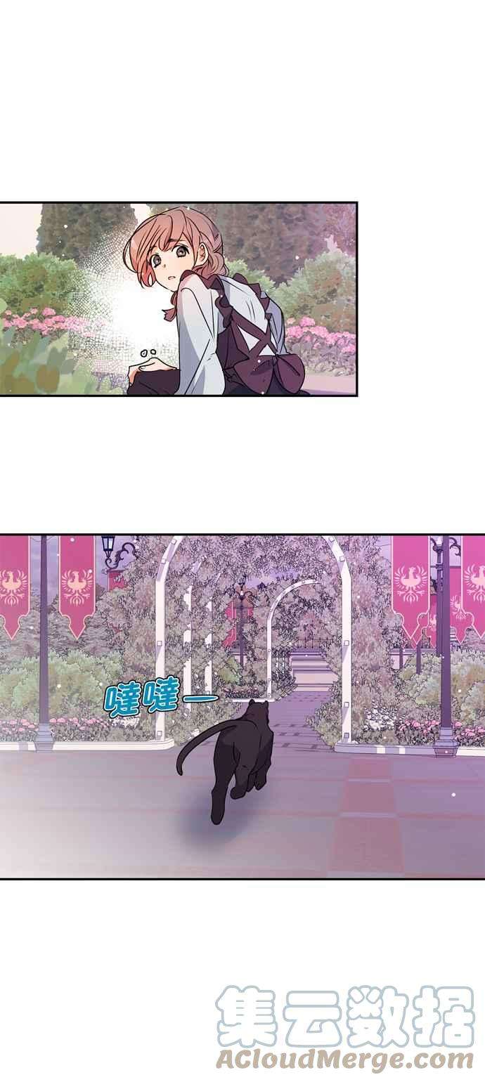 我的野蛮萌友37话