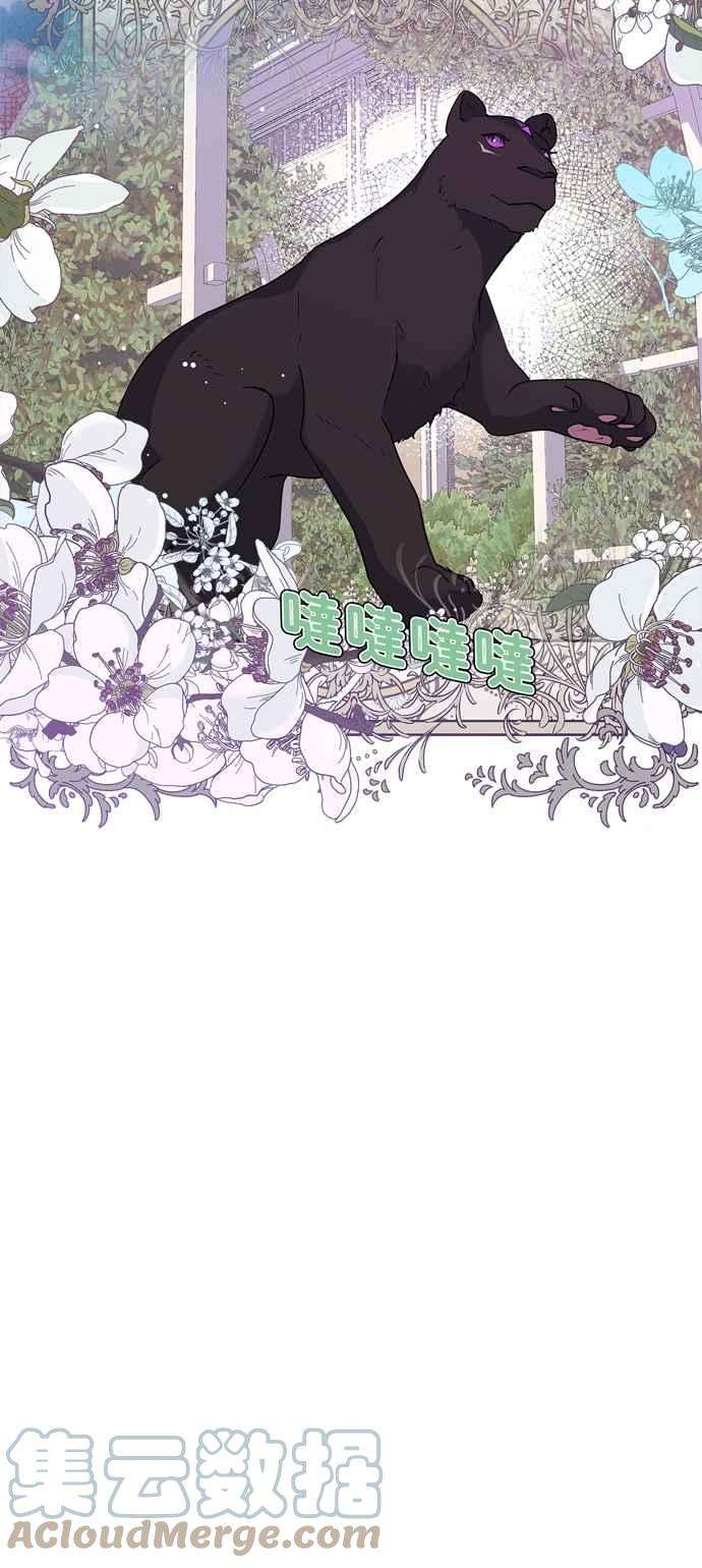 我的野蛮萌友37话