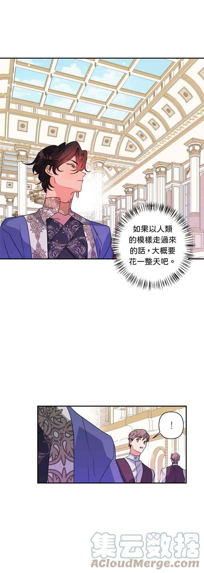 我的野蛮萌友37话