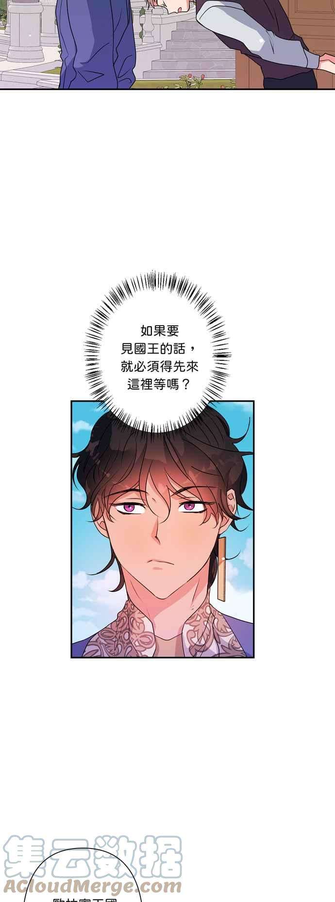 我的野蛮萌友37话