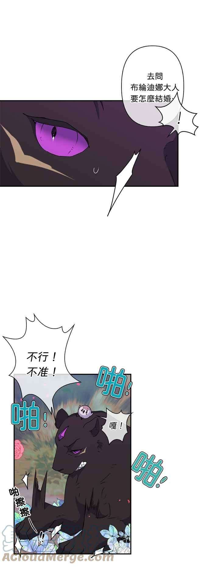 我的野蛮萌友37话