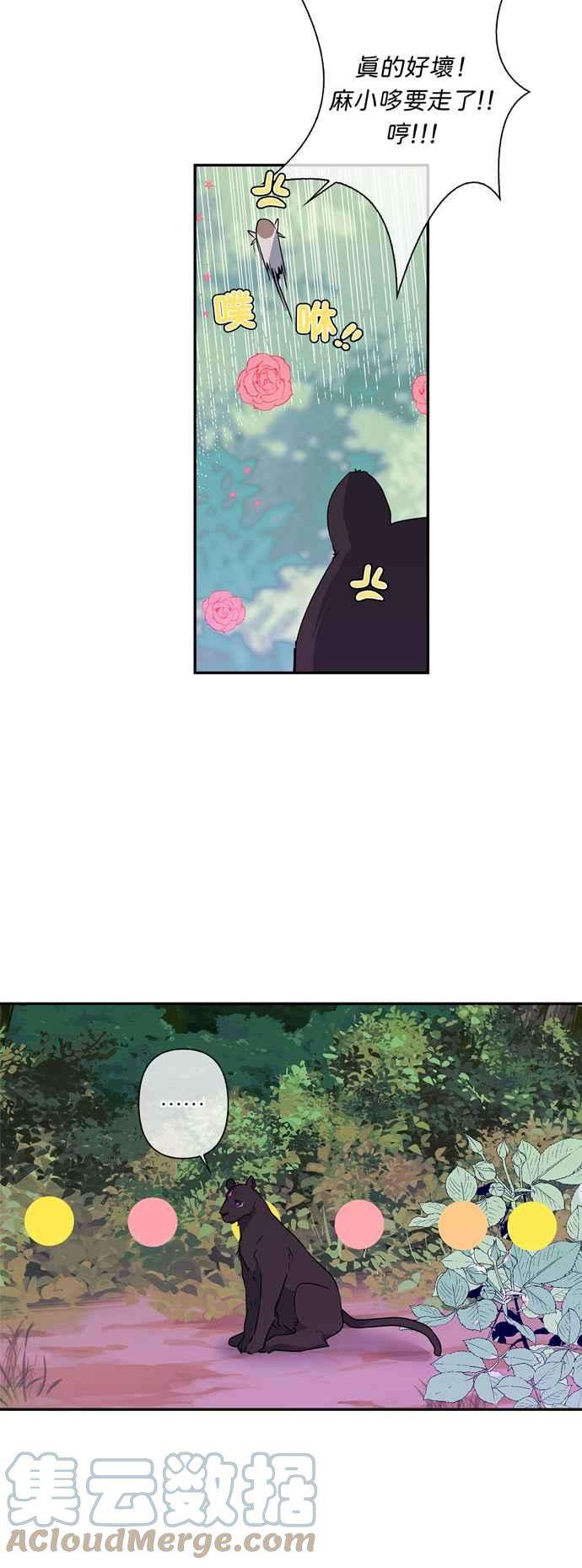 我的野蛮萌友37话
