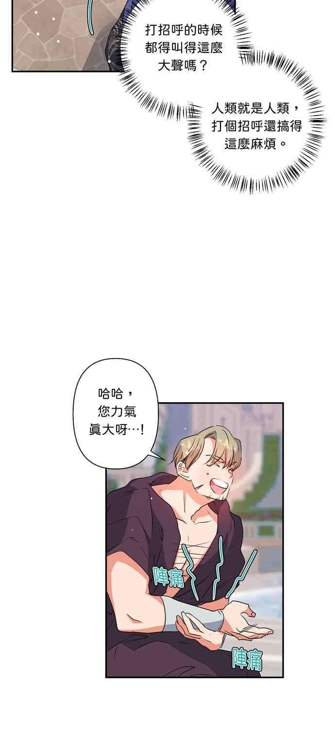 我的野蛮萌友38话