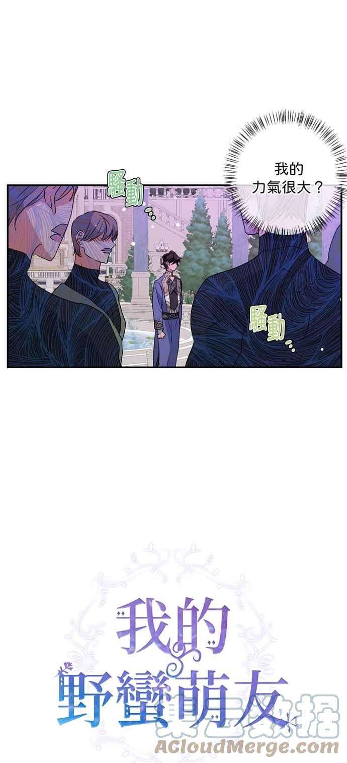 我的野蛮萌友38话