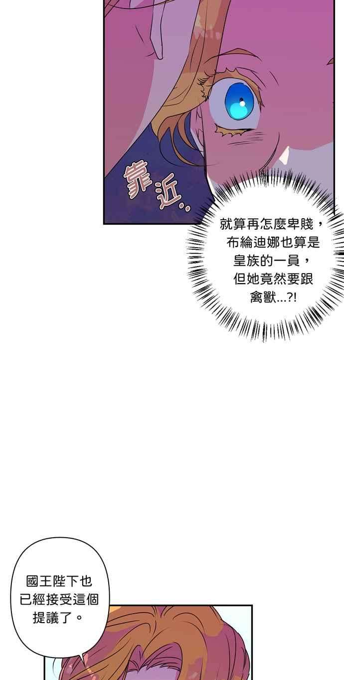 我的野蛮萌友41话