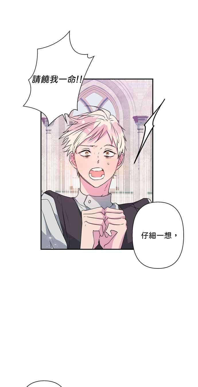 我的野蛮萌友41话