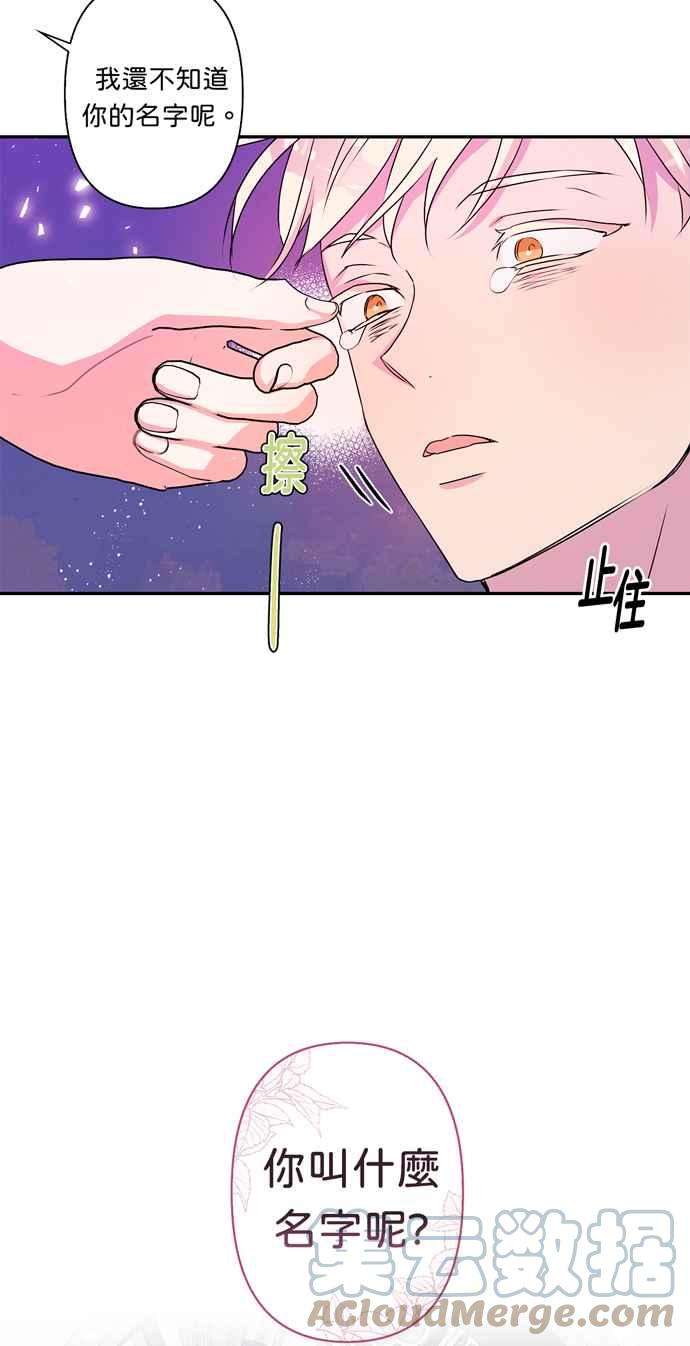 我的野蛮萌友41话
