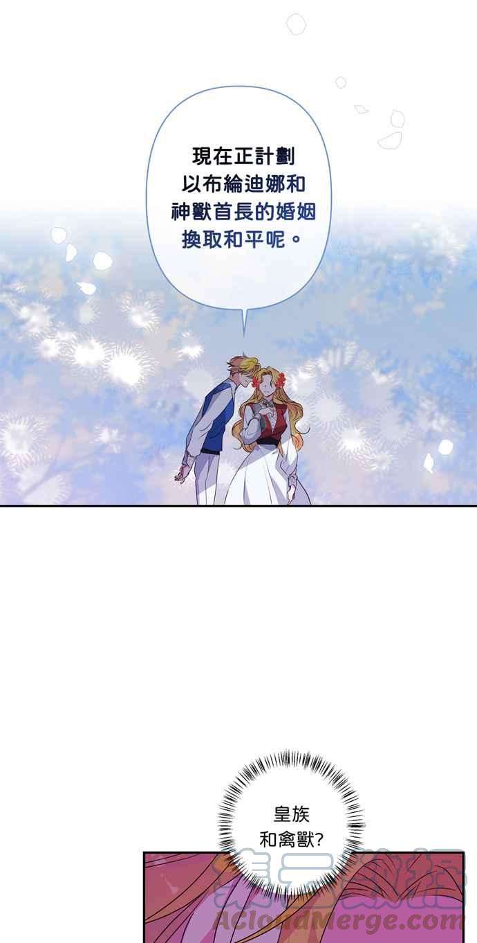 我的野蛮萌友41话