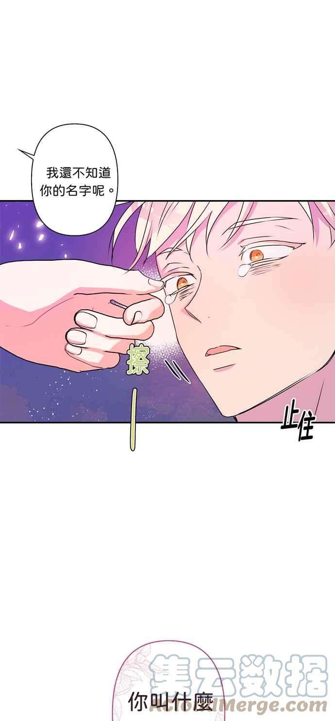 我的野蛮萌友42话