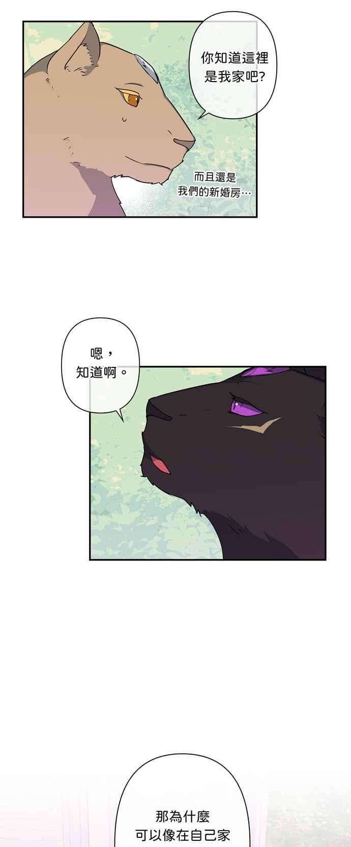 我的野蛮萌友43话