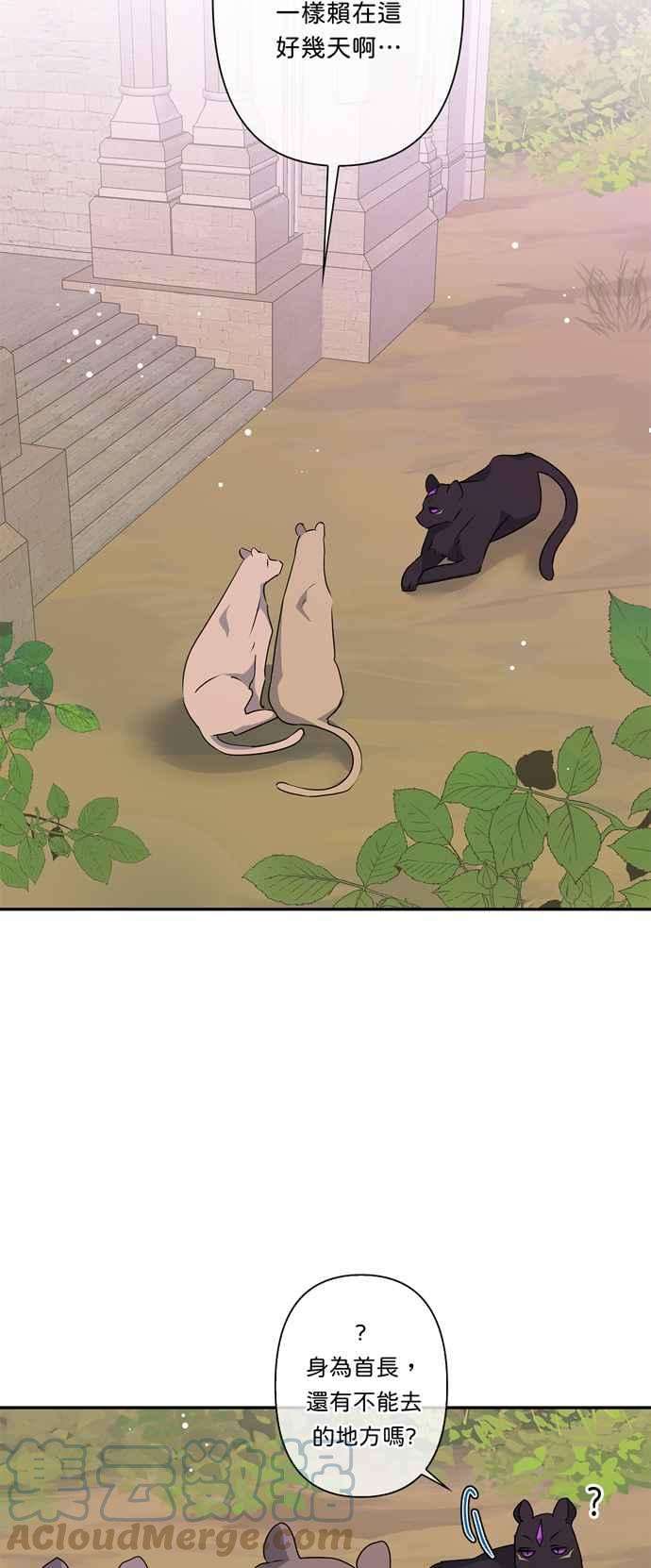 我的野蛮萌友43话