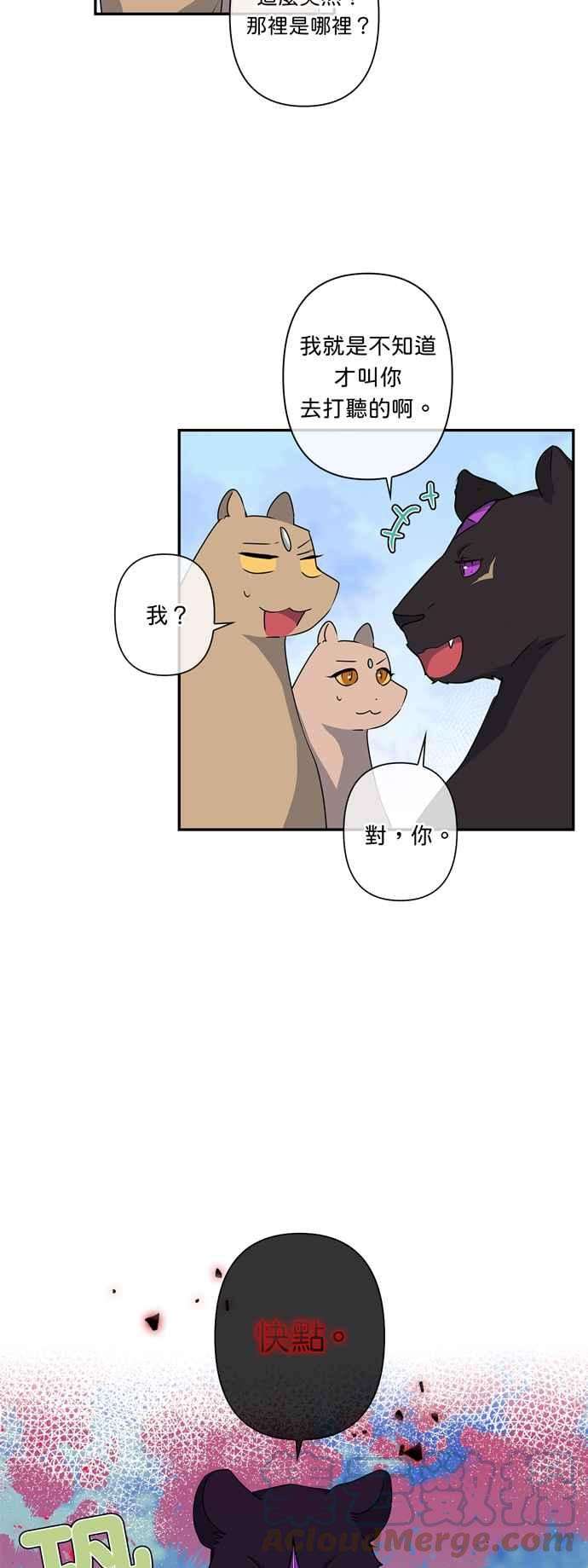 我的野蛮萌友43话