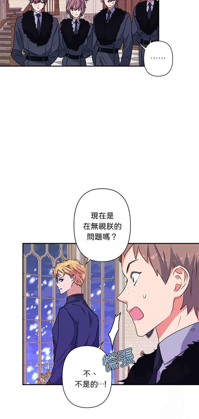 我的野蛮萌友47话