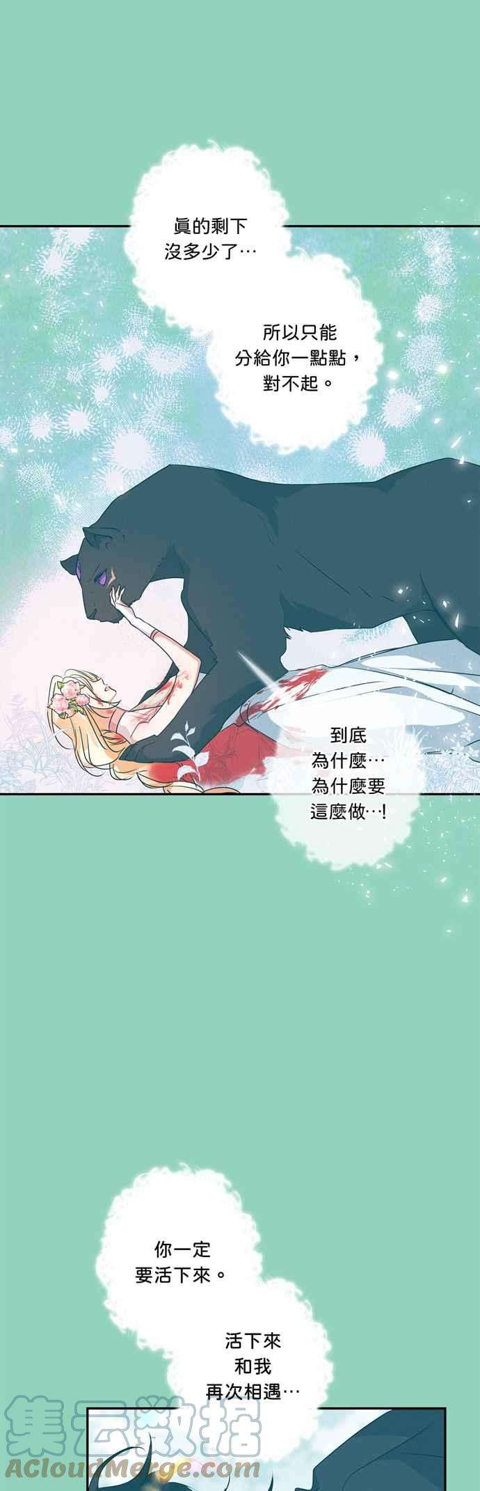 我的野蛮萌友48话