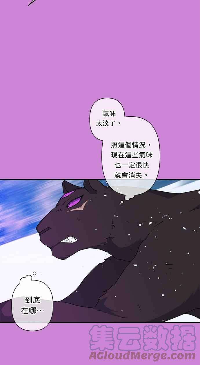 我的野蛮萌友49话