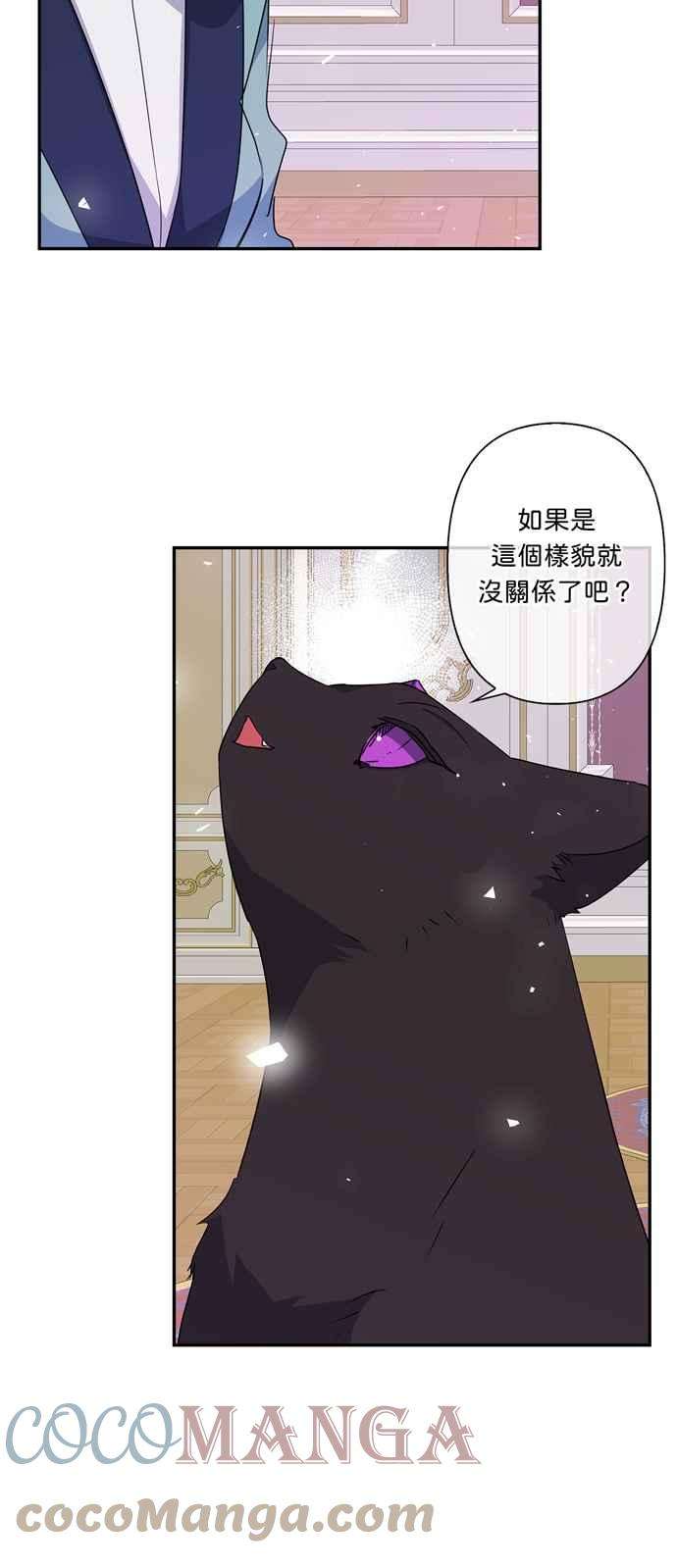 我的野蛮萌友53话