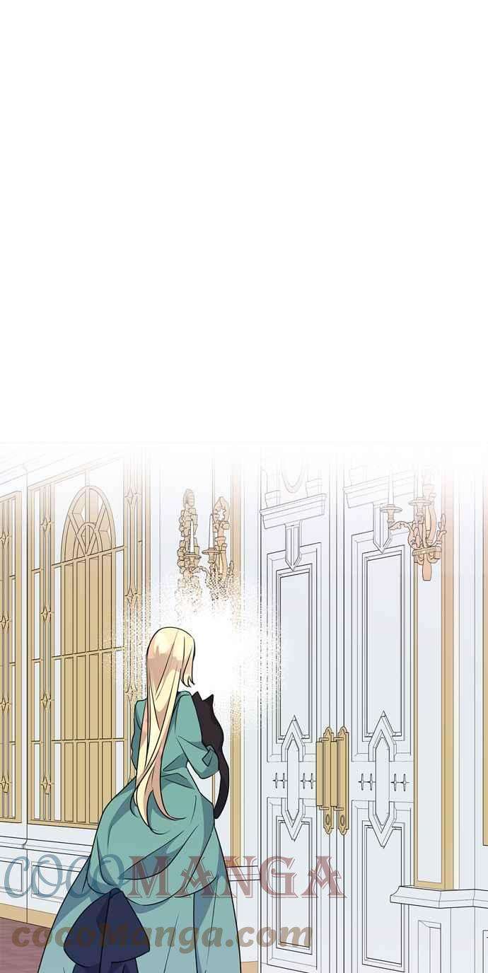 我的野蛮萌友53话
