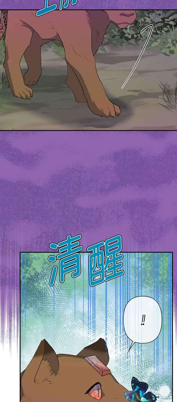 我的野蛮萌友59话
