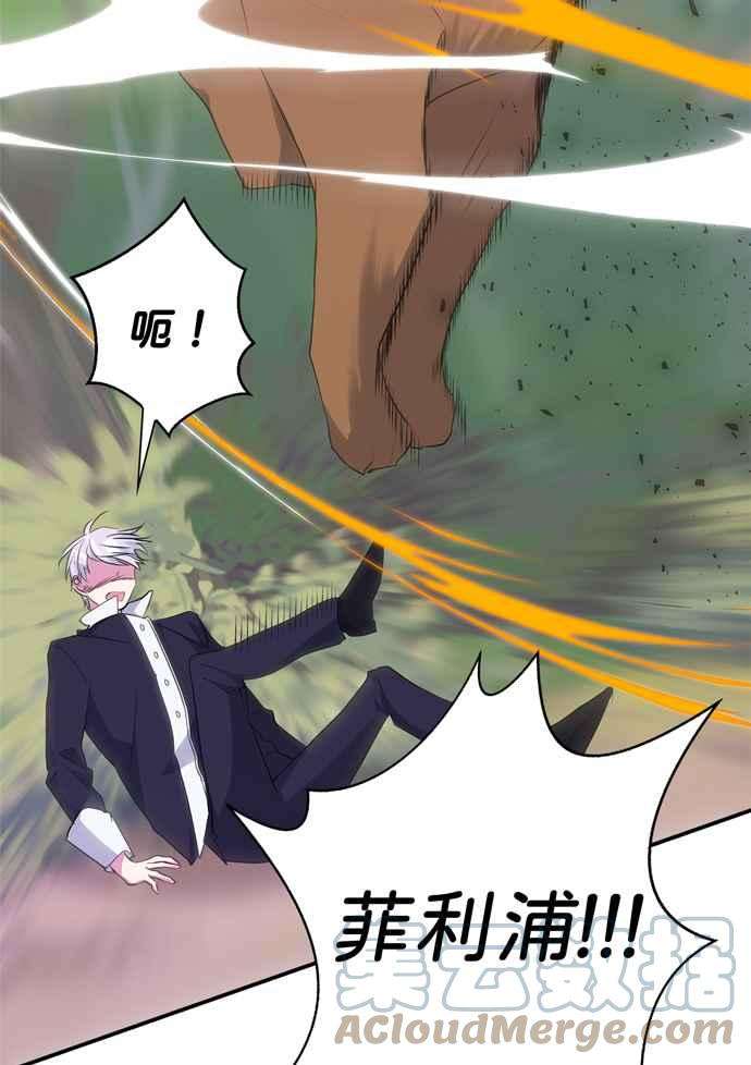我的野蛮萌友60话