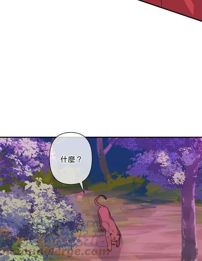 我的野蛮萌友60话