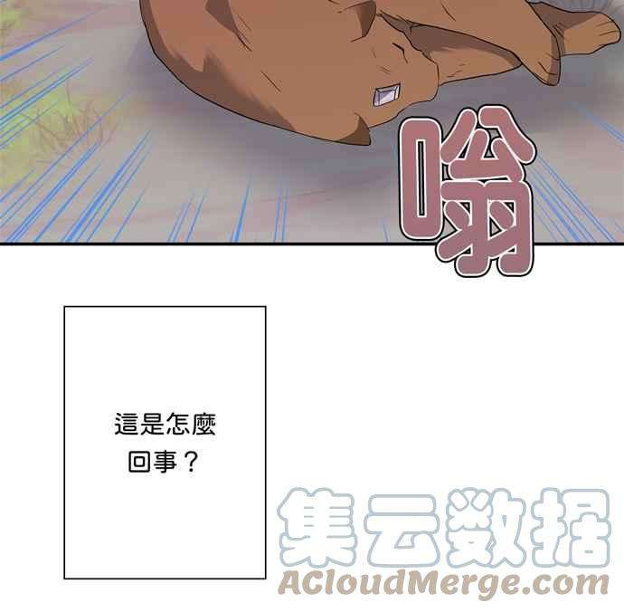 我的野蛮萌友60话
