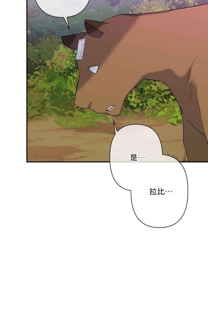 我的野蛮萌友60话