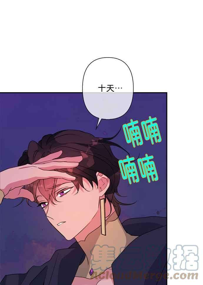 我的野蛮萌友62话