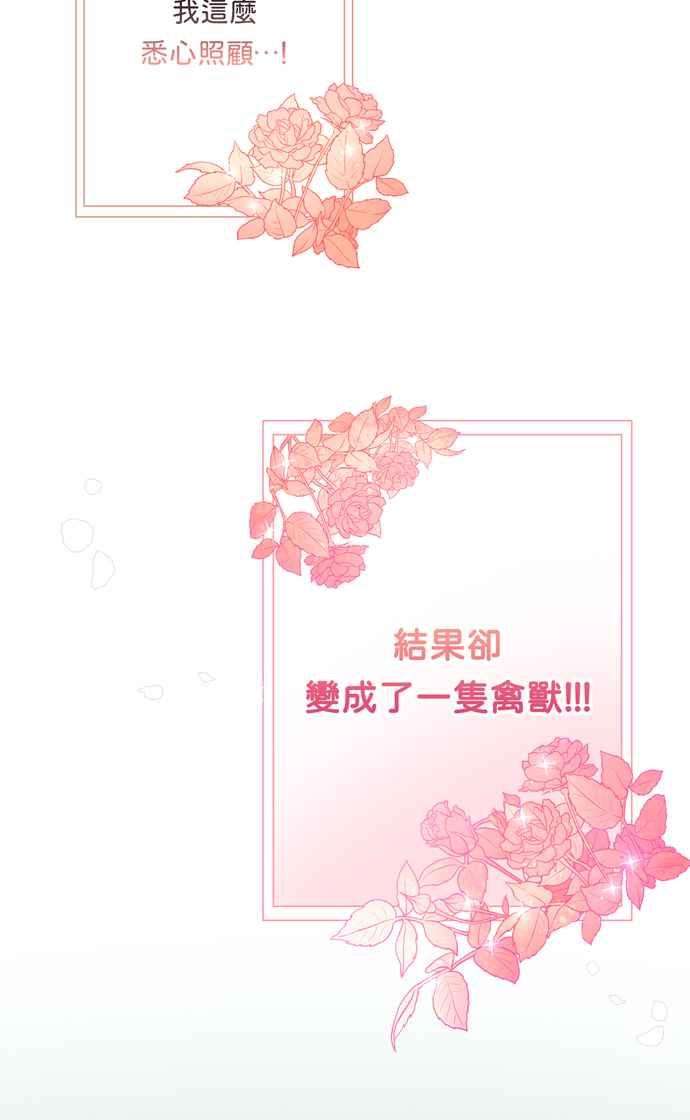我的野蛮萌友63话