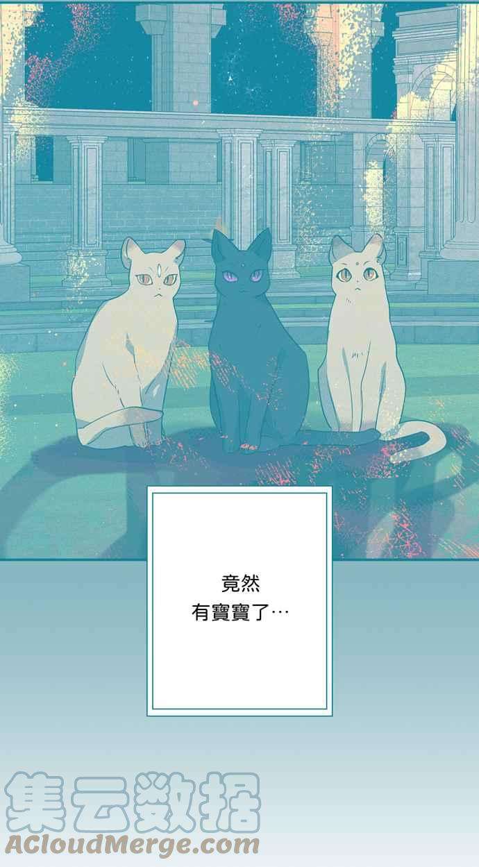 我的野蛮萌友64话