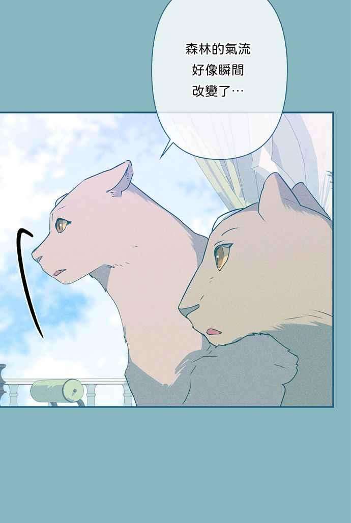 我的野蛮萌友65话