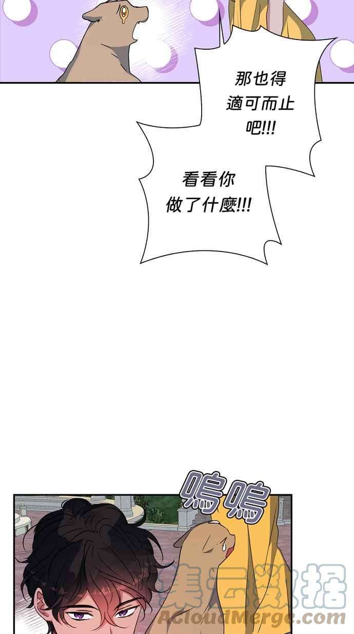 我的野蛮萌友66话