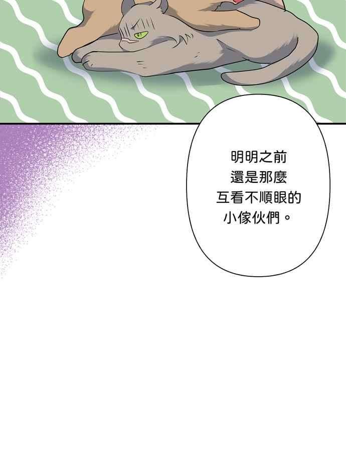 我的野蛮萌友68话