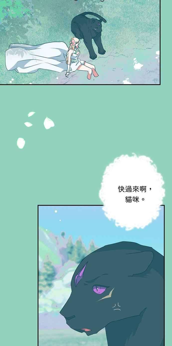 我的野蛮萌友71话