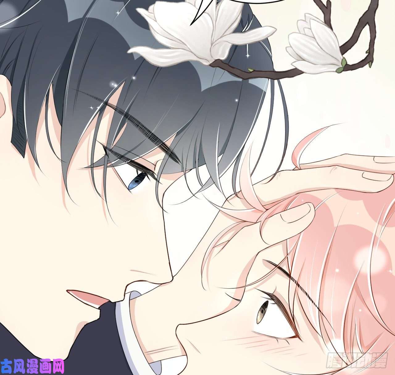 顶级玩物11 算是同居吗