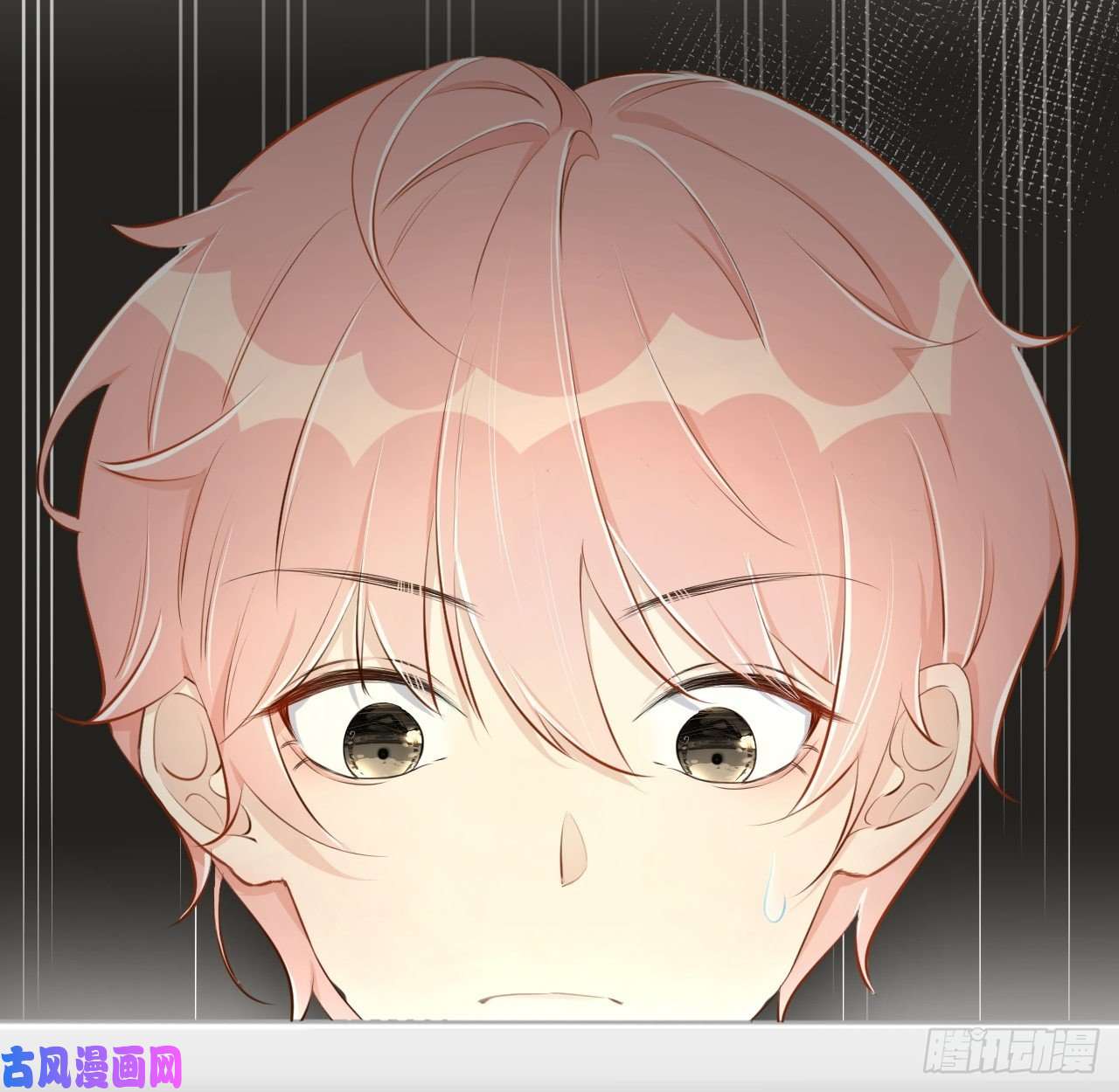 顶级玩物14 辛煜川的绯闻