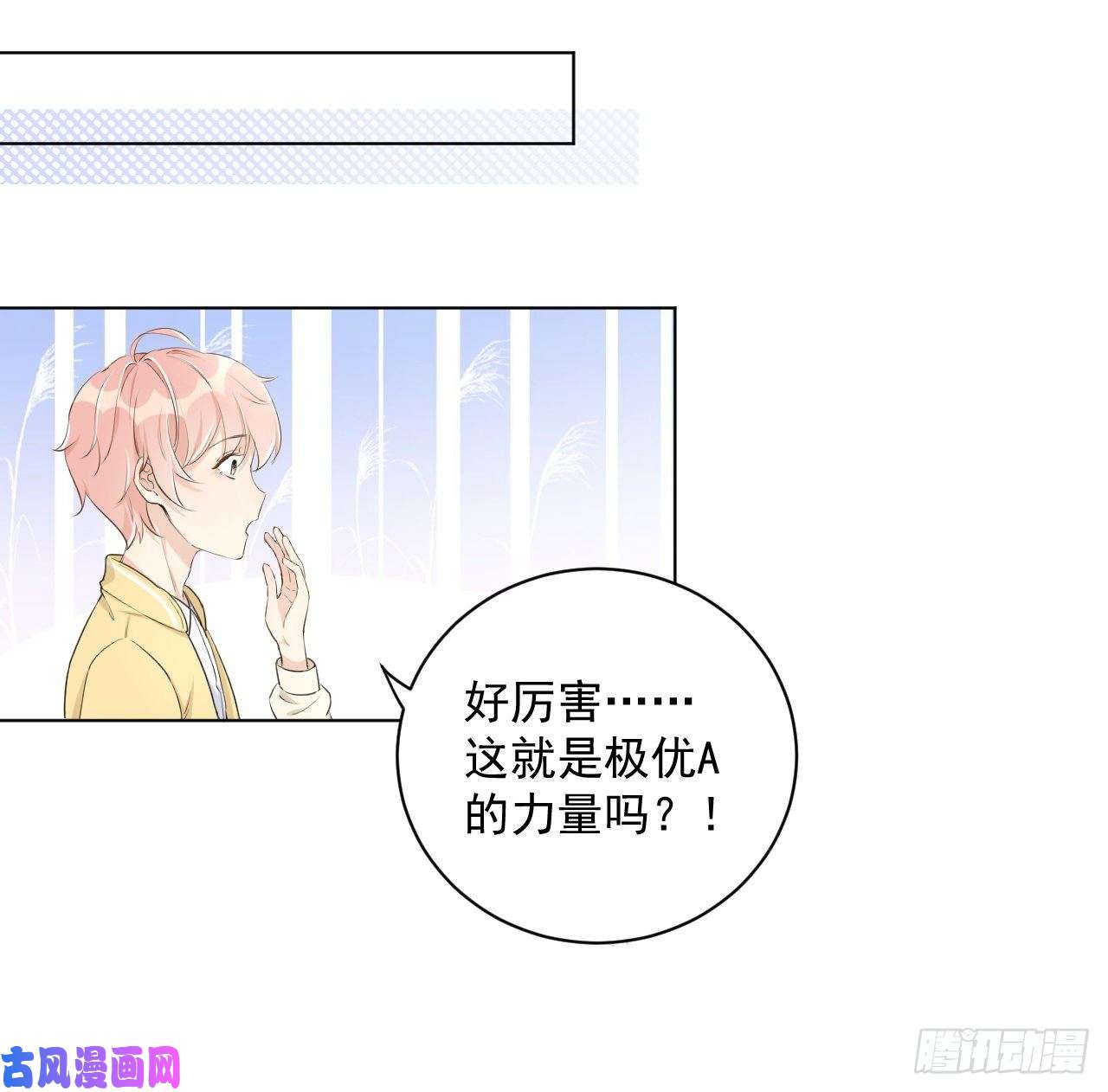 顶级玩物18 他的禁忌