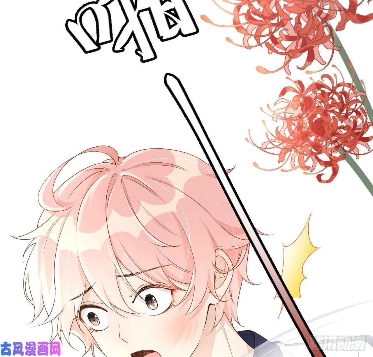 顶级玩物19 全家的希望