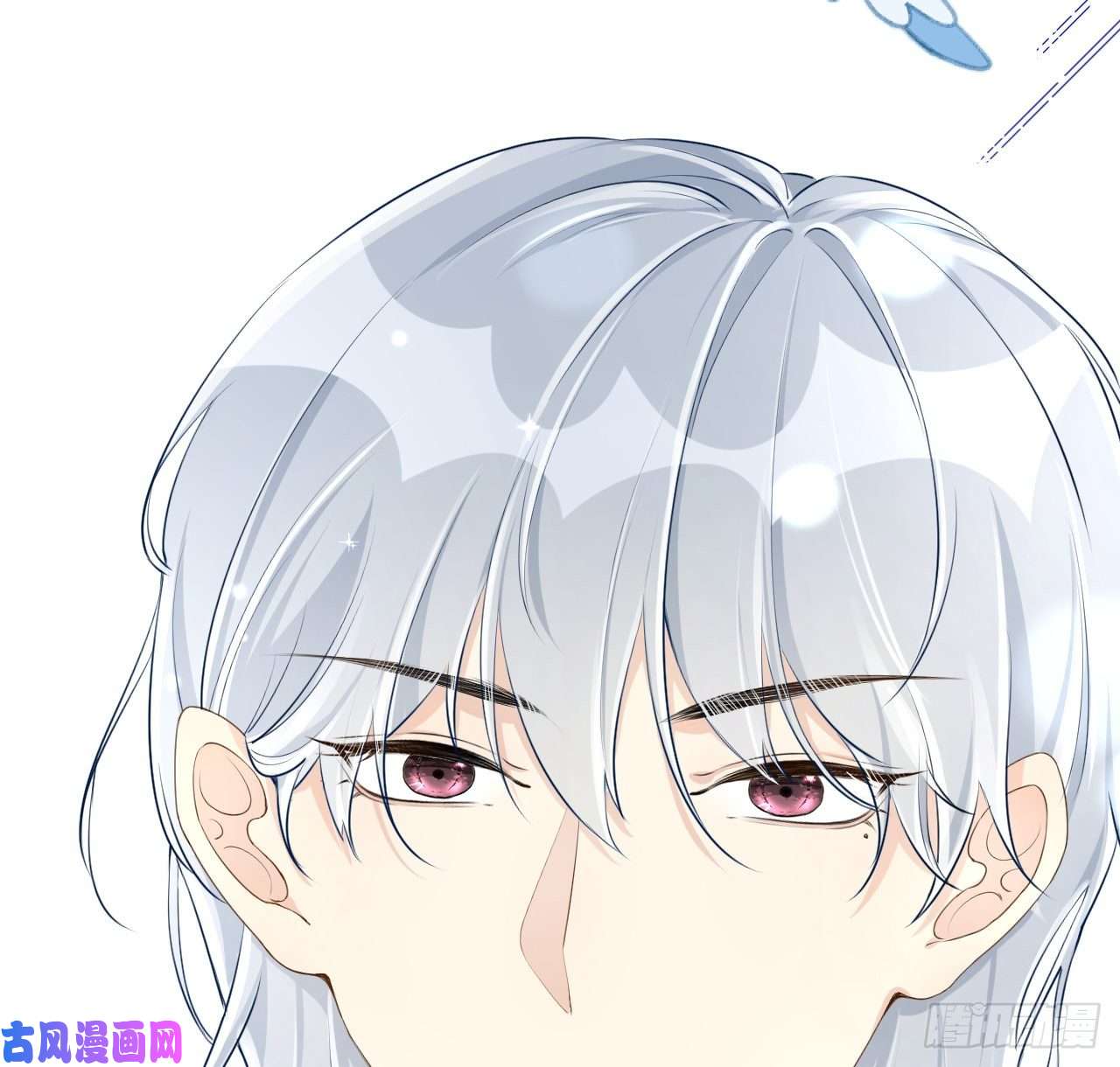 顶级玩物21 何斯年话来了