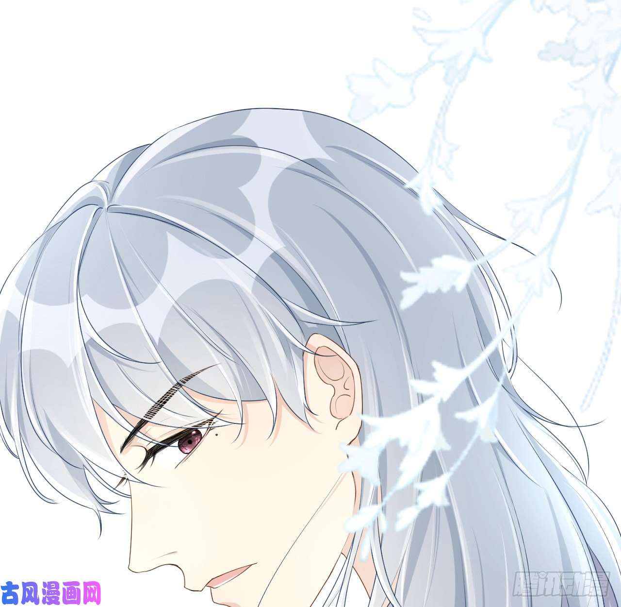 顶级玩物21 何斯年话来了