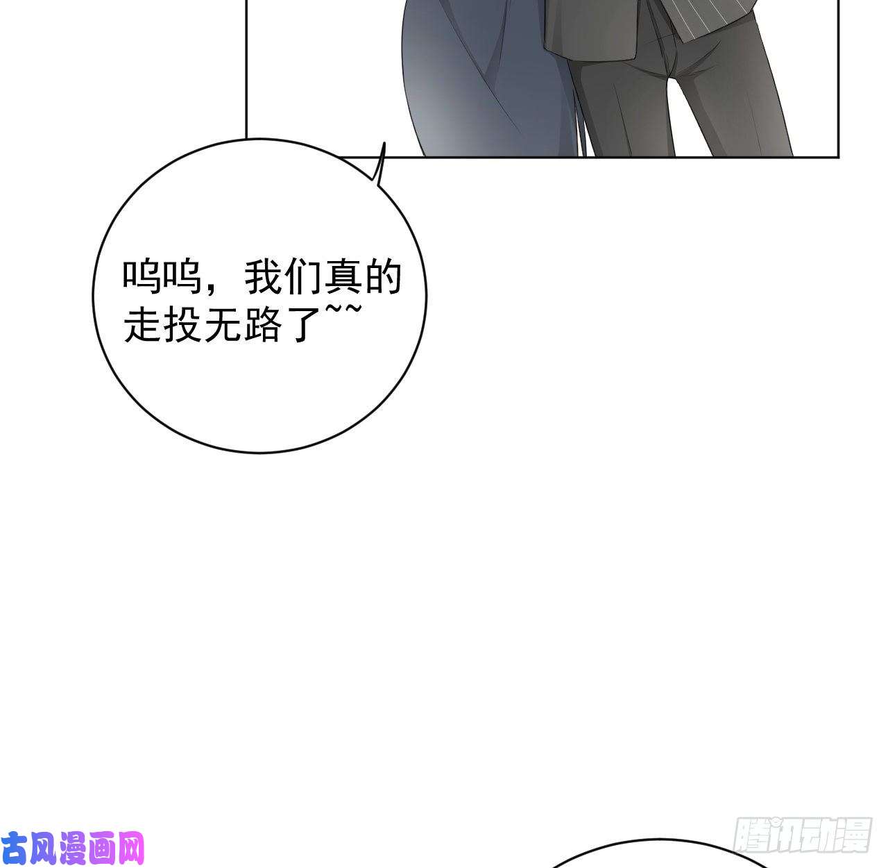 顶级玩物28 求求你了，罗先生