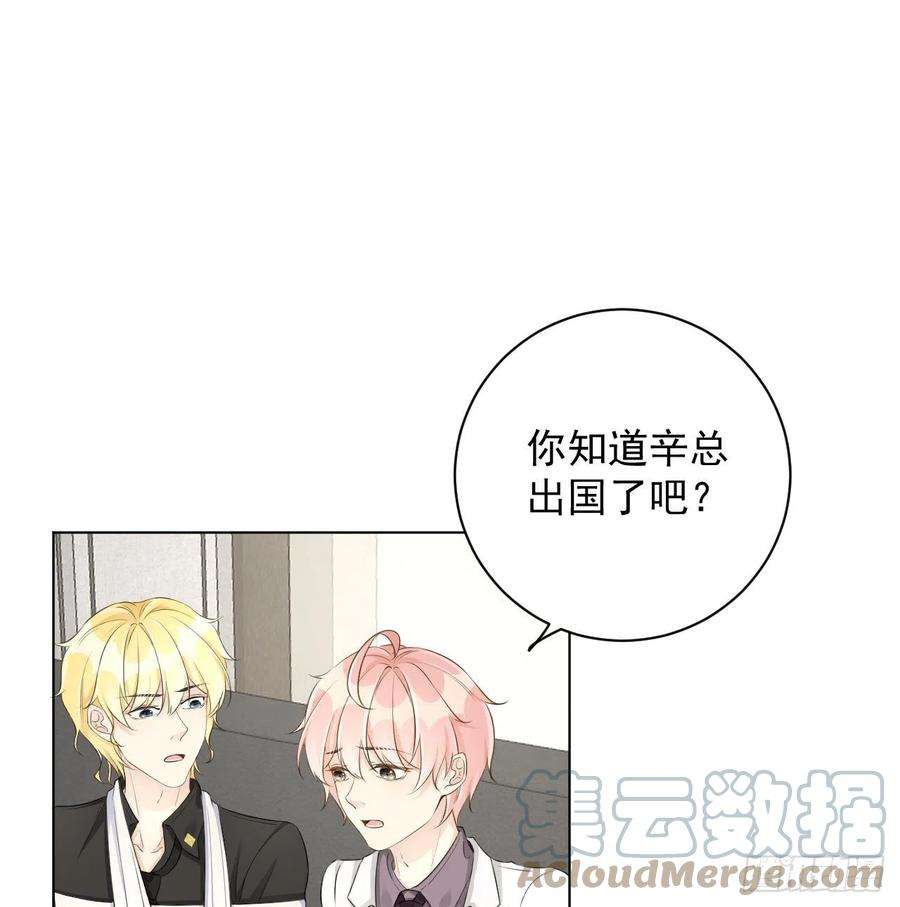 顶级玩物34 他更懂辛总