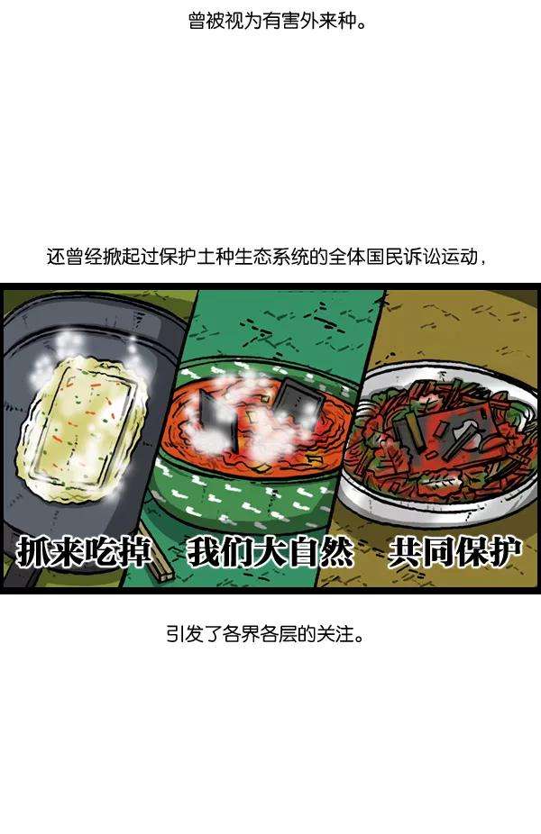 最快更新的心灵的声音第893话 神秘动物综述2