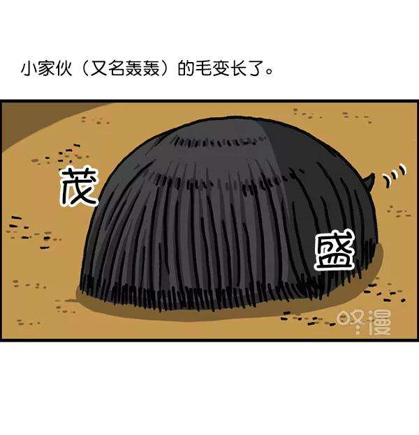 最快更新的心灵的声音第1174话 假发冒险记